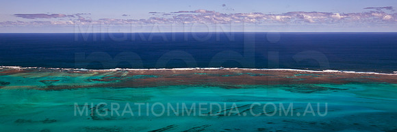 Ningaloo Fringing Coral Reef
