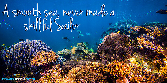 Coral Reef Scene