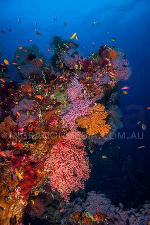 Colourful Wreck