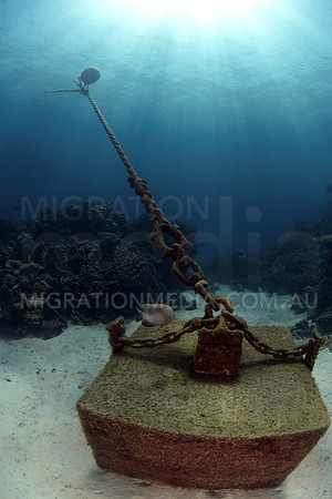 Mooring