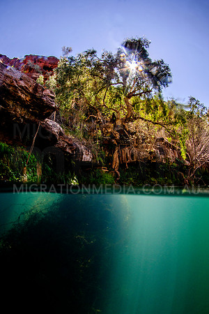Karijini Fern Pool