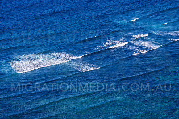 Aerial Reef Swell Waves