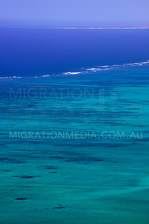 Aerial Coral Reef System