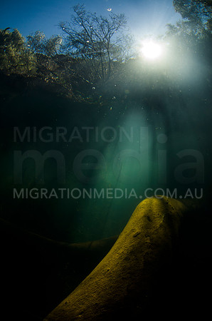 Underwater Karijini