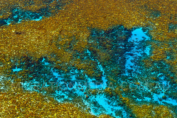 Aerial Coral Reef