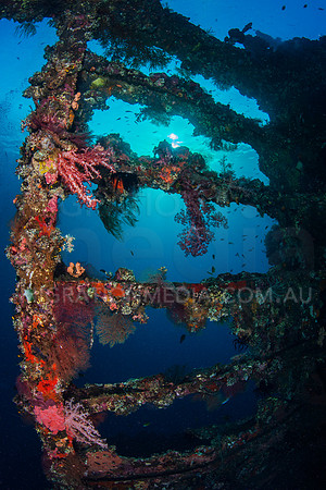 Colourful Wreckage