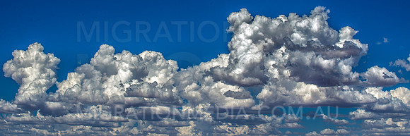 White Clouds