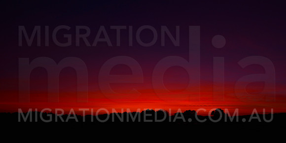 Sunset Silhouette