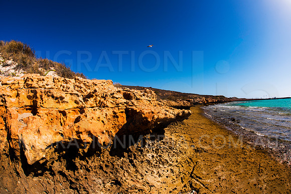 Ningaloo Coast