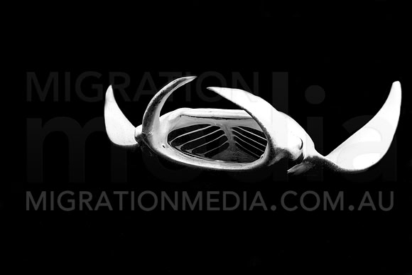 Manta Rolling B&W copy