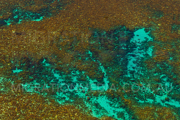 Ningaloo Reef