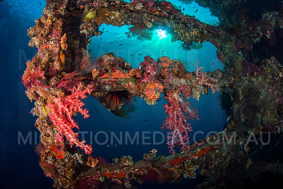 Colourful Shipwreck