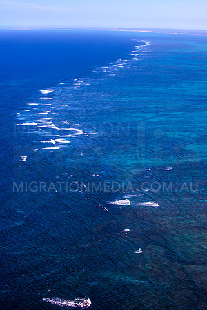 Outer Reef Ningaloo Aerial