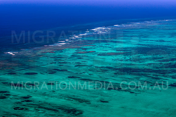 Ningaloo Marine Park Aerial Coral Reef
