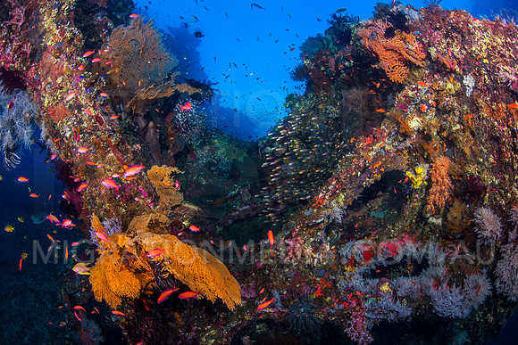Colourful Shipwreck Structure