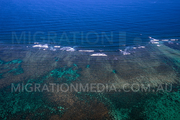 Outer Reef Ningaloo