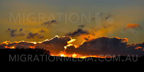 Sunrays